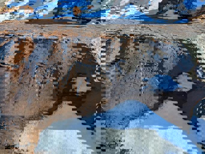 Alberta Museum Discovers Ancient Arrowheads Near School Construction Site